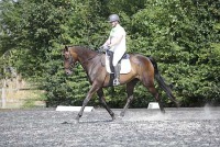 Lyford Dressage