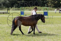 Chertsey Show 2019, Sun