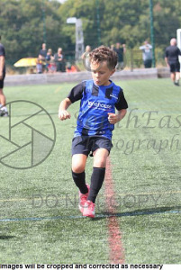 Bemerton Harlequins 2026